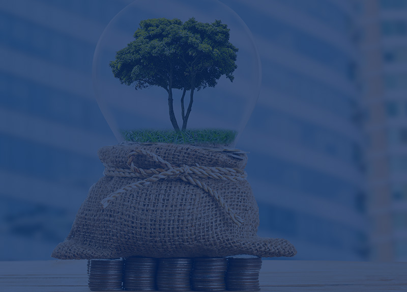 Wealth Creation