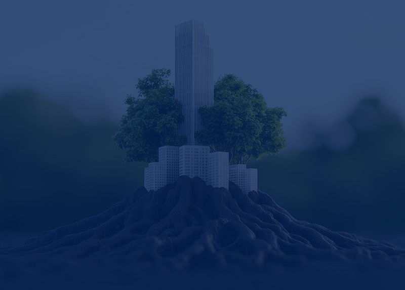 Sustainable Growth